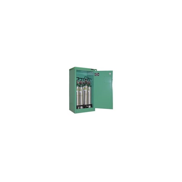 Securall Gas Cylinder Cabinet, Vertical, Green - MG309FL