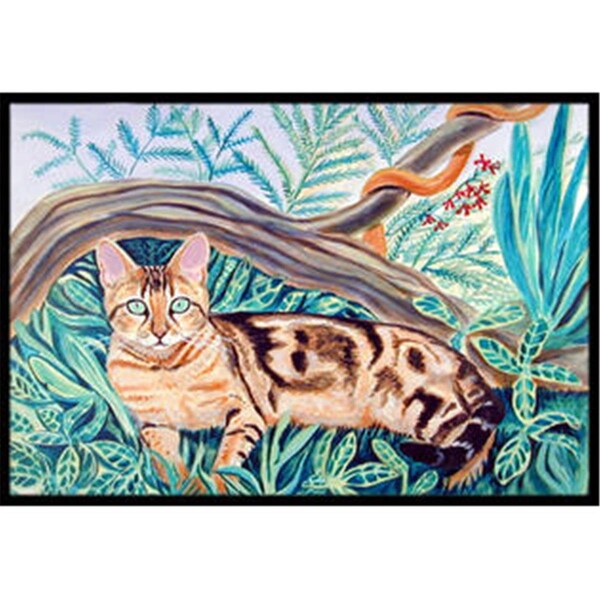 Beyondbasketball Cat - Maine Coon Indoor Or Outdoor Mat - 18 x 27 in. - BE1532094