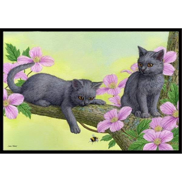 Carolines Treasures Chartruex Kittens Indoor or Outdoor Mat- 18 x 27 - ASA2211MAT