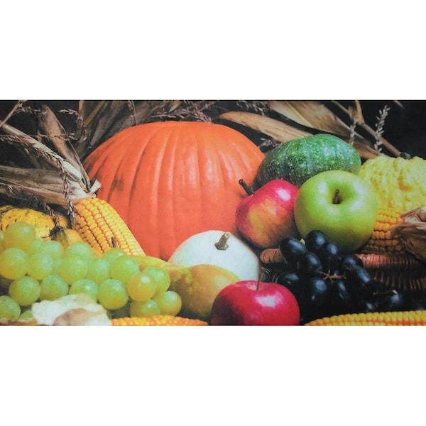 H2H DM 82 Holiday Harvest Non Slip Indoor Door Mat, 27 x 18 in. - H22203672