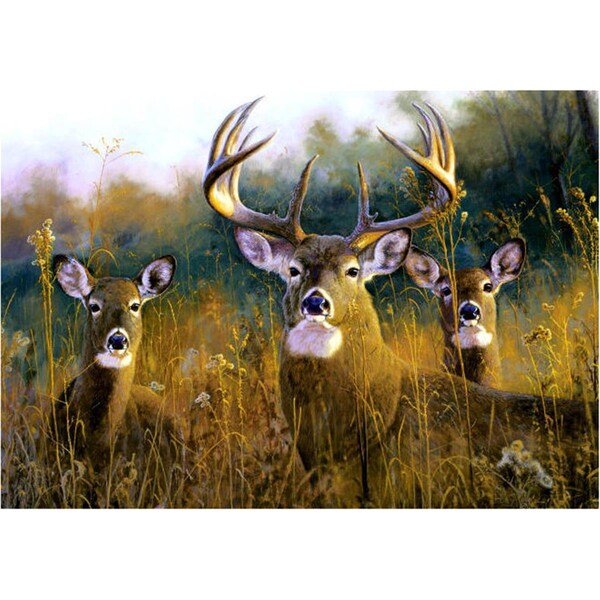 H2H DM 53 door mat size18 X 26 - H22548328