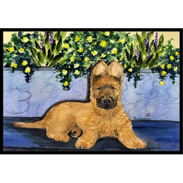 Carolines Treasures Briard Indoor Or Outdoor Doormat - 24 x 36 in. - SS8180JMAT