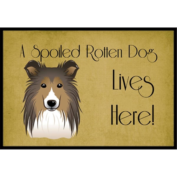 Carolines Treasures Sheltie Spoiled Dog Lives Here Indoor and Outdoor Mat- 24 x 36 in. - BB1490JMAT