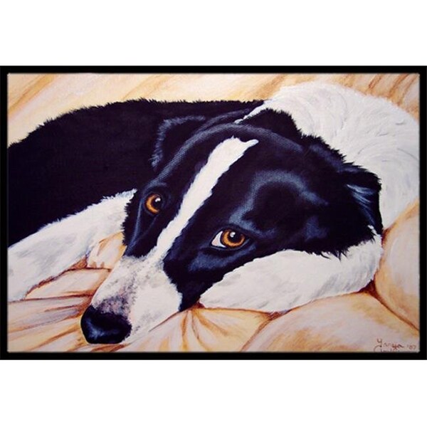 Carolines Treasures Carolines Treasures AMB1080JMAT Naptime Border Collie Indoor or Outdoor Mat; 24 x 36 - AMB1080JMAT