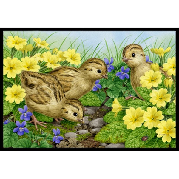 Carolines Treasures Pheasant Chicks Indoor or Outdoor Mat- 24 x 36 - ASA2177JMAT