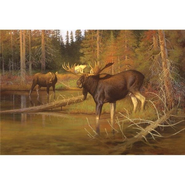 Custom Printed Rugs Custom Printed Rugs DM 62 Lambson Moose Intruder Moose - DM 62
