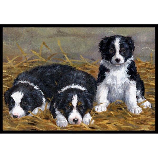 Jensendistributionservices Border Collie Puppies Indoor or Outdoor Mat, 24 x 36 - MI2557130