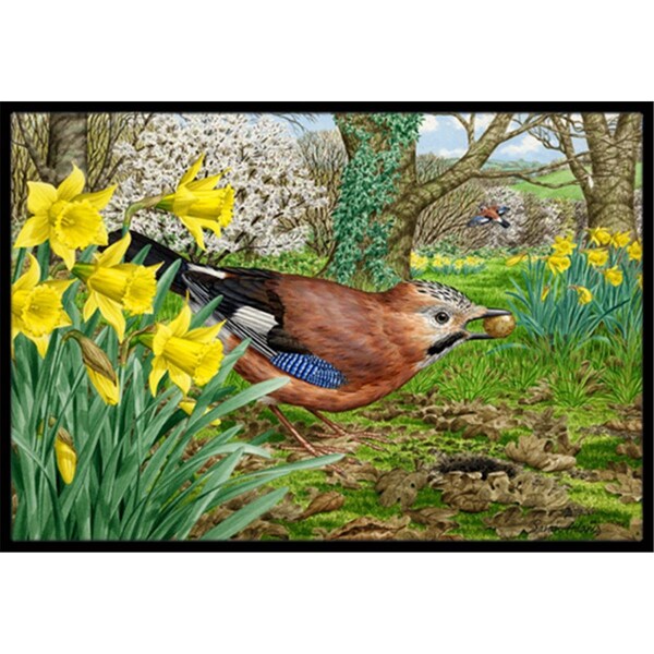 Carolines Treasures Jay Indoor or Outdoor Mat- 18 x 27 - ASA2176MAT