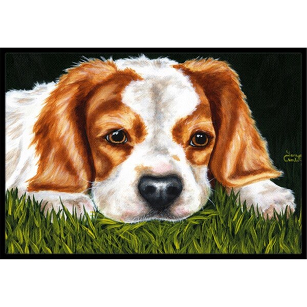Carolines Treasures Cavalier Spaniel in the Grass Indoor or Outdoor Mat- 24 x 36 - AMB1395JMAT