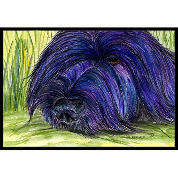 Carolines Treasures 18 x 27 in. Briard Indoor Outdoor Doormat - SS8520MAT