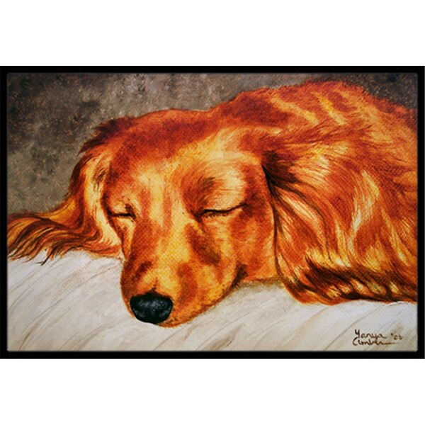 Carolines Treasures Red Longhaired Dachshund Indoor or Outdoor Mat- 18 x 27 - AMB1202MAT
