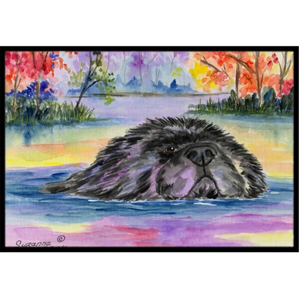 Beyondbasketball Newfoundland Indoor Or Outdoor Doormat 24 x 36 in. - BE232289