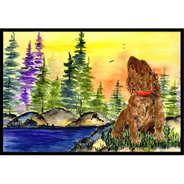 Carolines Treasures 18 x 27 in. American Water Spaniel Indoor Outdoor Doormat - SS8509MAT