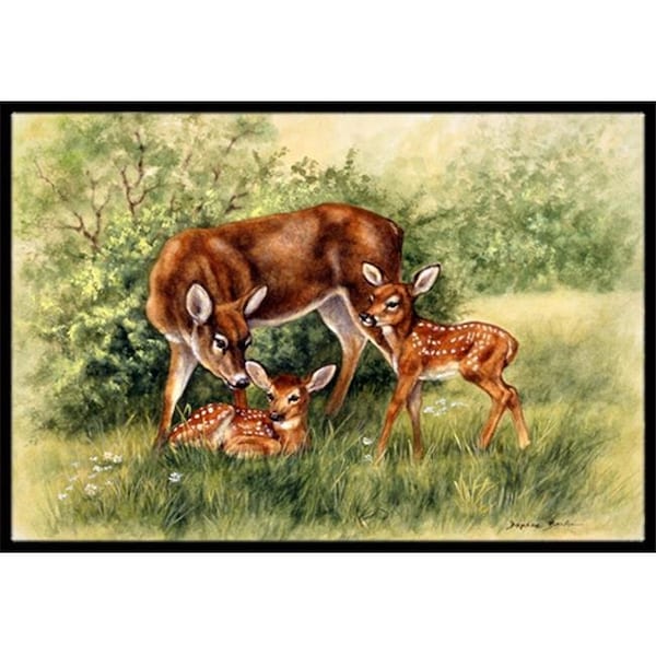 Carolines Treasures Carolines Treasures BDBA0116JMAT Deer by Daphne Baxter Indoor or Outdoor Mat; 24 x 36 - BDBA0116JMAT