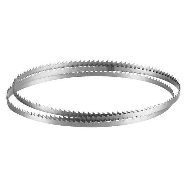Bosch Band Saw Blade, 56-1/8 in L, 1/4" W, 6 TPI, 0.012" Thick - BS5618-6W