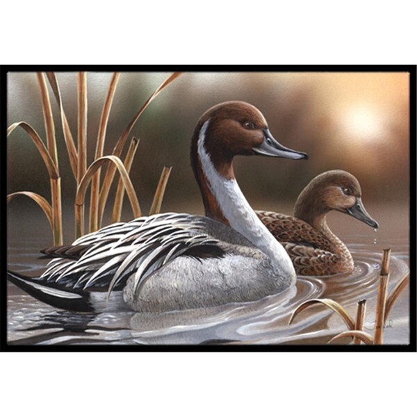 Carolines Treasures Pintails Indoor and Outdoor Mat- 24 x 36 in. - PTW2060JMAT