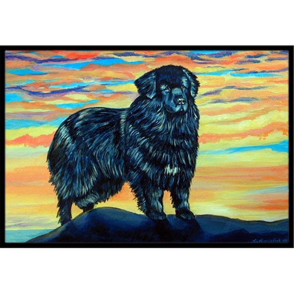 Carolines Treasures 24 x 36 in. Newfoundland Indoor Or Outdoor Doormat - 7518JMAT