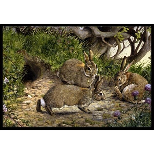 Carolines Treasures Carolines Treasures BDBA0136MAT Rabbits & the Rabbit Hole Indoor or Outdoor Mat; 18 x 27 - BDBA0136MAT