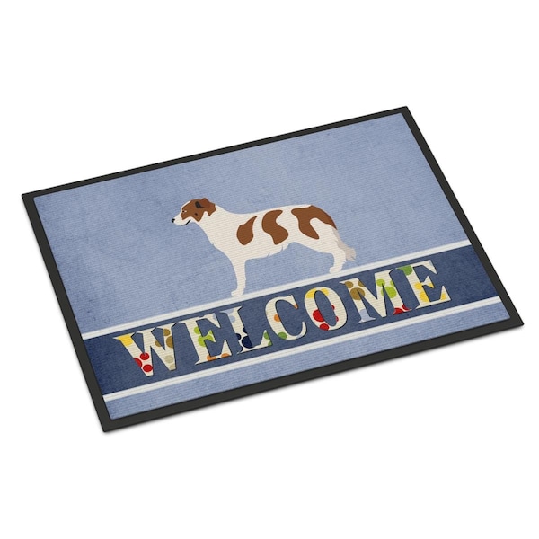 Carolines Treasures Aidi Atlas Mountain Dog Indoor or Outdoor Mat - 24 x 36 in. - BB8334JMAT