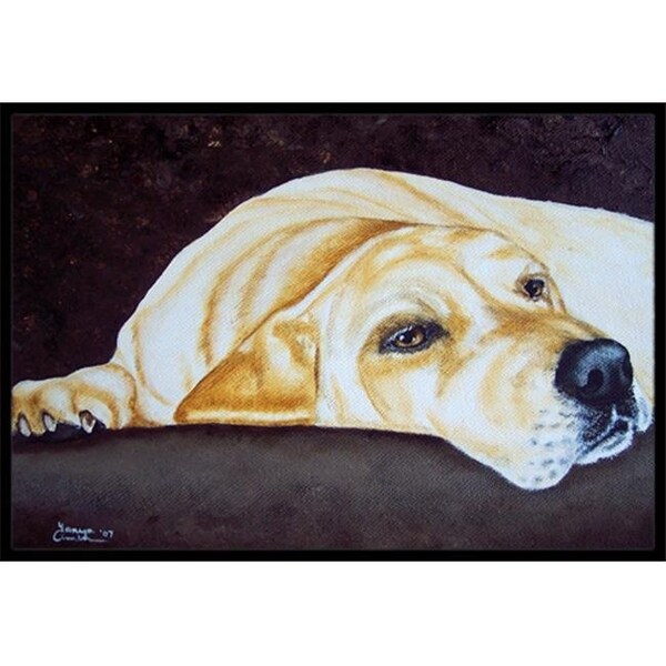 Carolines Treasures Carolines Treasures AMB1072MAT Naptime Yellow Labrador Indoor or Outdoor Mat; 18 x 27 - AMB1072MAT