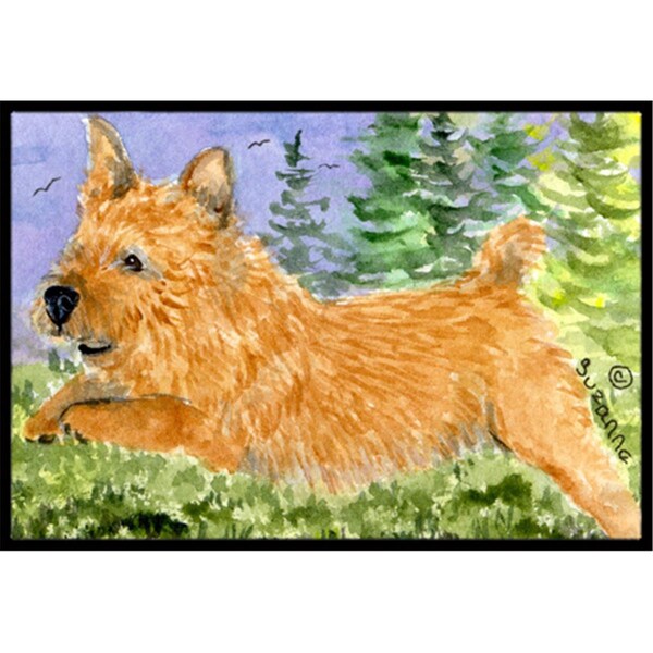 Carolines Treasures 24 x 36 in. Norwich Terrier Doormat - SS8910JMAT