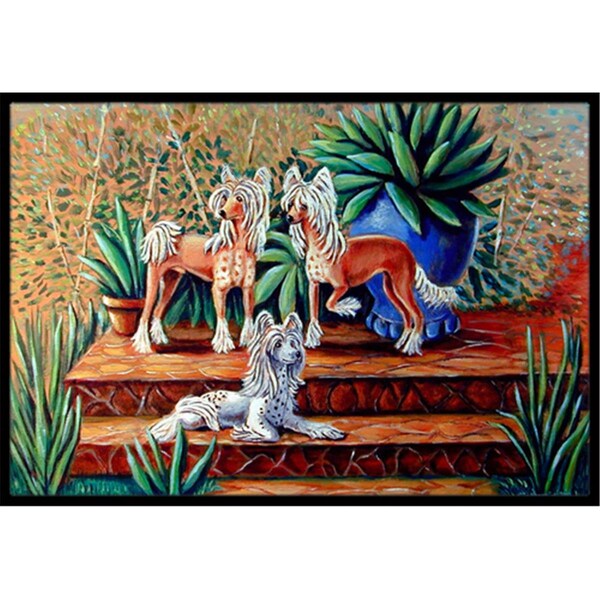 Carolines Treasures 18 x 27 in. Chinese Crested Indoor Outdoor Mat - 7505MAT