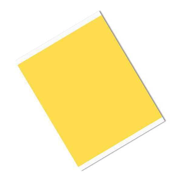 3M Polyimide Film Tape, 10 x 10.5", PK25 - 1218