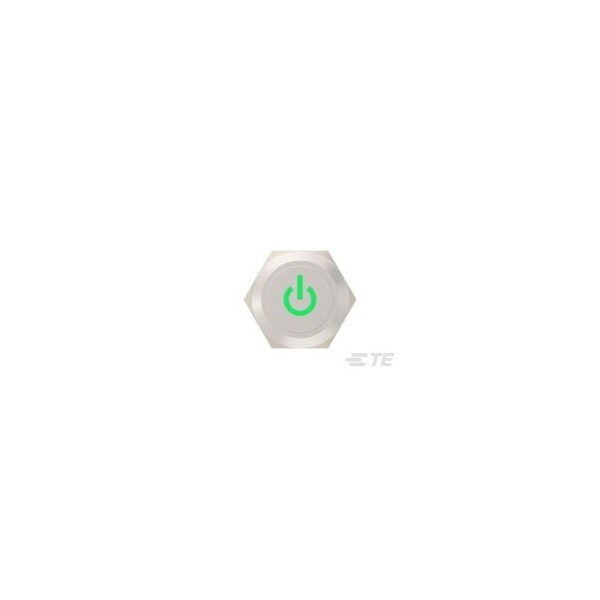 Alcoswitch AV19 SPM 0.4VA POWER LED VERDE 12V - AV1910P612R04