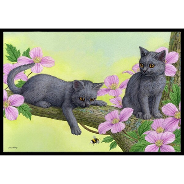 Carolines Treasures Chartruex Kittens Indoor or Outdoor Mat- 24 x 36 - ASA2211JMAT