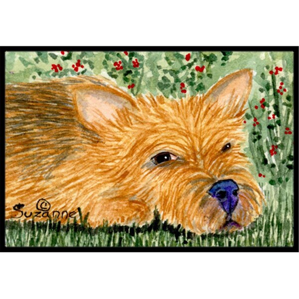 Carolines Treasures 24 x 36 in. Norwich Terrier Doormat - SS8862JMAT