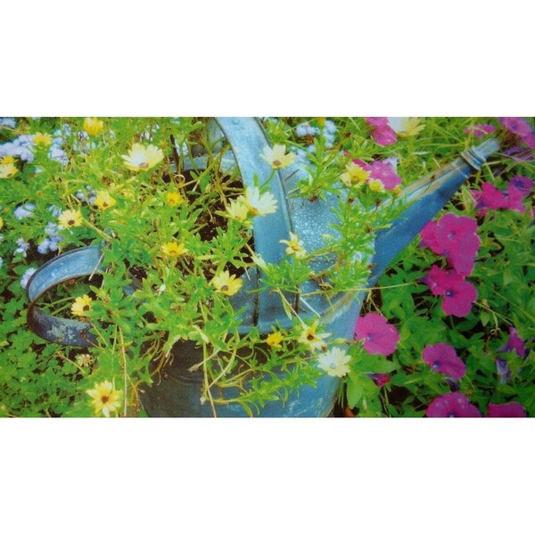 H2H DM 72 Spring Sprinkles Non Slip Indoor Door Mat, 27 x 18 in. - H22201579