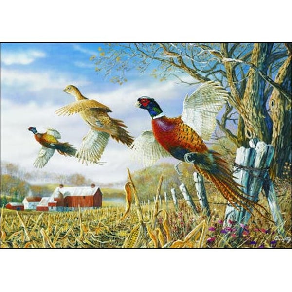 Custom Printed Rugs Custom Printed Rugs DM 58 Pheasants Doormat; Multicolor - DM  58