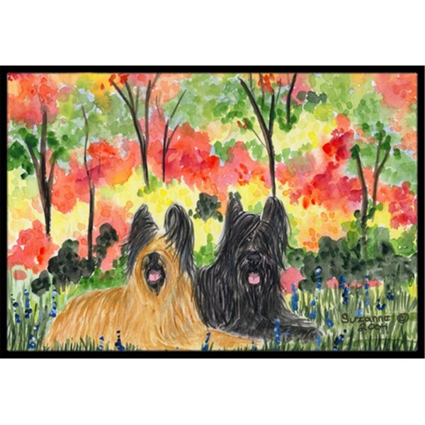 Carolines Treasures 18 x 27 in. Briard Indoor Outdoor Mat - SS8045MAT