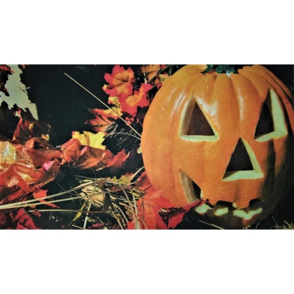 H2H DM 83 Pumpkin Carving Non Slip Indoor Door Mat, 27 x 18 in. - H22848709