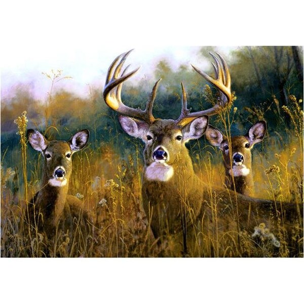 Custom Printed Rugs Custom Printed Rugs DM 53 door mat size18 ft X 26 in - DM  53