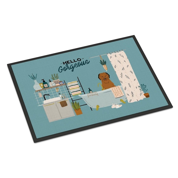 Carolines Treasures 24 x 36 in. Brown Briard in Bathtub Indoor or Outdoor Mat - CK7504JMAT