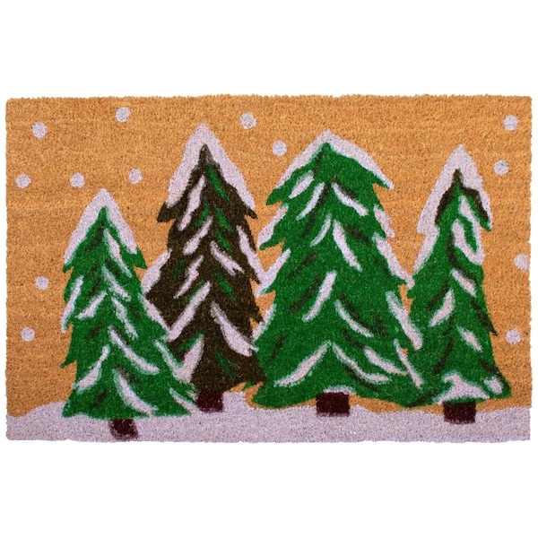 Configuracion 17 x 29 in. Winter Wonderland Rectangular Doormat Multi Color - CO2828547
