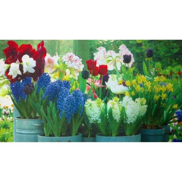 H2H DM 67 Springtime Non Slip Indoor Door Mat, 27 x 18 in. - H22548347
