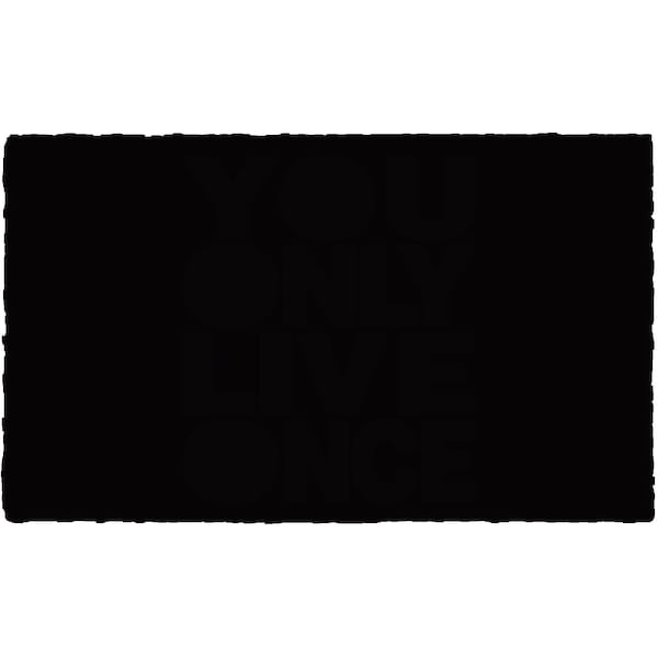 Calloway Mills Coir/Vinyl, Black, 24 in W x 48 in L - 151892448