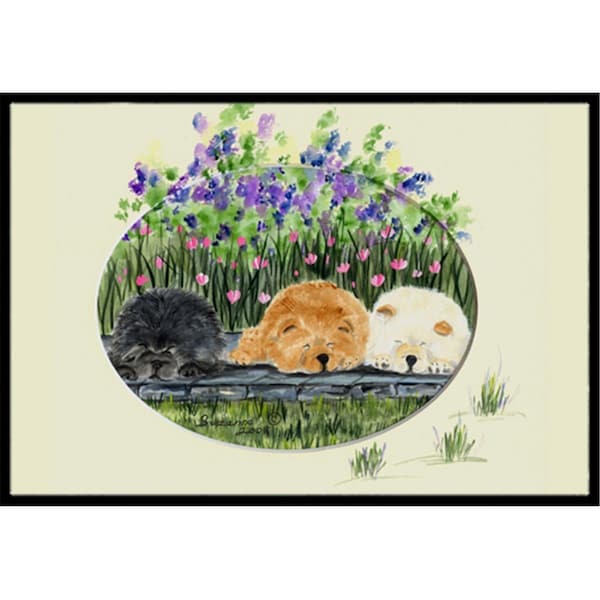 Micasa 18 x 27 in. Chow Chow Indoor Outdoor Mat - MI55750