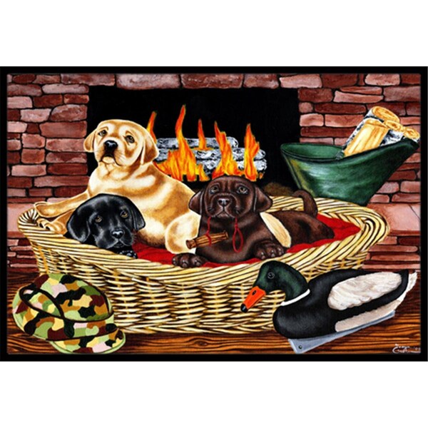 Carolines Treasures The Next Generation Labrador Indoor or Outdoor Mat- 24 x 36 - AMB1362JMAT