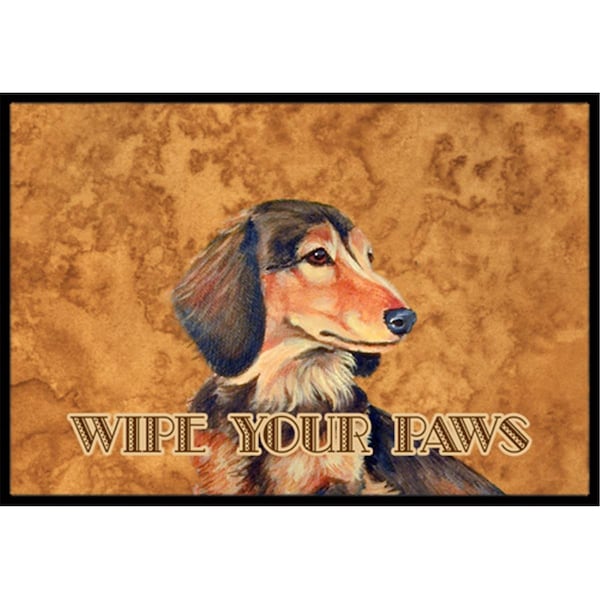 Jensendistributionservices 18 X 27 In. Longhair Chocolate Dachshund Wipe Your Paws Indoor Or Outdoor Mat - MI2553978