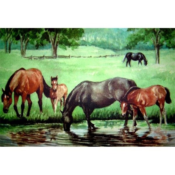Custom Printed Rugs Custom Printed Rugs DM  24 Horse Pond Door Mat - DM  24