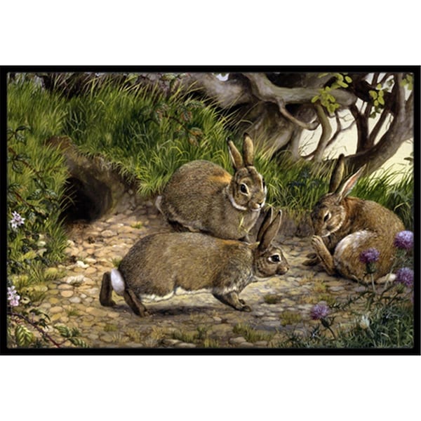 Jensendistributionservices Rabbits & the Rabbit Hole Indoor or Outdoor Mat, 18 x 27 - MI2557302