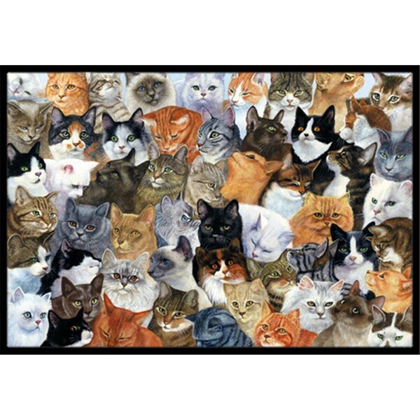 Jensendistributionservices Cats Galore Indoor or Outdoor Mat, 18 x 27 - MI1718581