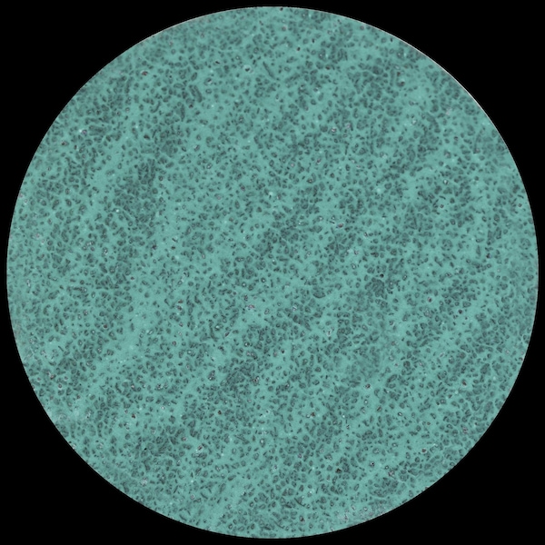 Tryolit Abrasives TYROLIT Premium 3" 24 Grit Type-R Ziconium Grinding Disc for Steel and Stainless Steel, ZA-P48 PE Y - 112432