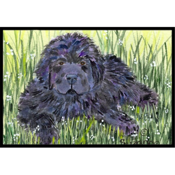 Carolines Treasures Newfoundland Indoor Outdoor Mat - 18 x 27 in. - CA79183