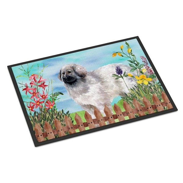 Carolines Treasures Moscow Watchdog Spring Indoor or Outdoor Mat - 24 x 36 in. - CK1235JMAT