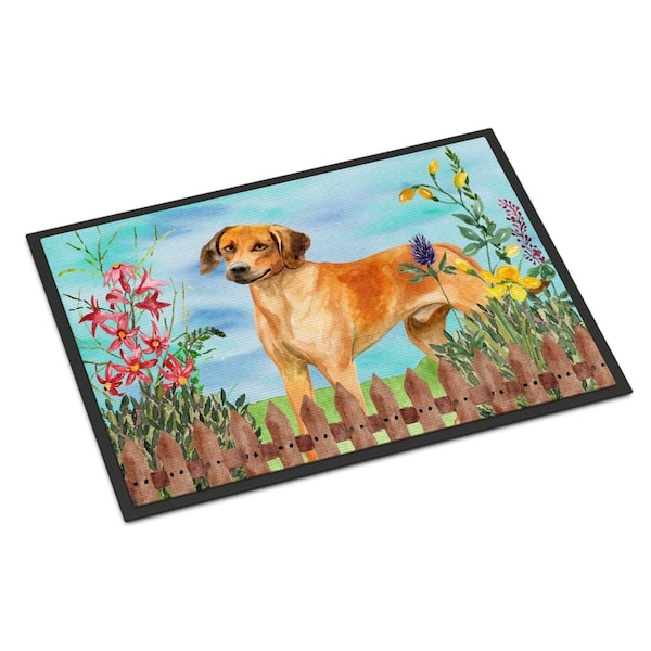 Carolines Treasures Rhodesian Ridgeback Spring Indoor or Outdoor Mat - 24 x 36 in. - CK1238JMAT