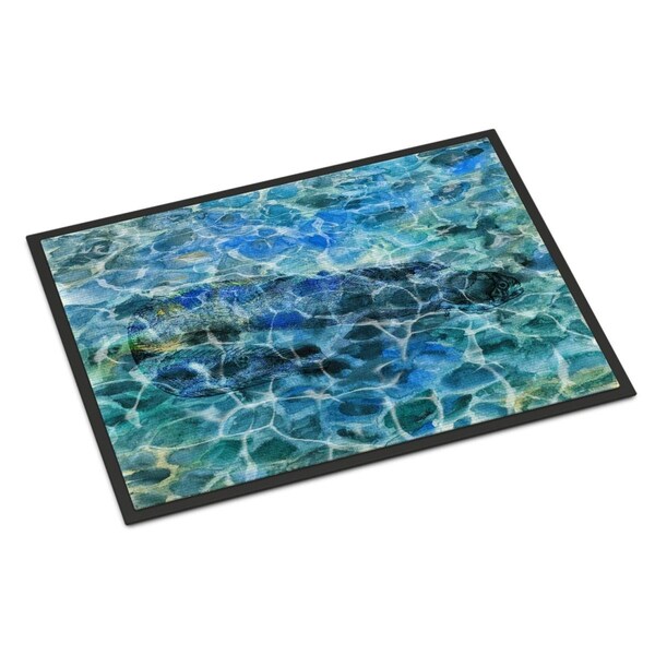 Carolines Treasures 24 x 36 in. Eel Under water Indoor or Outdoor Mat - BB5360JMAT